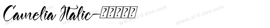 Camelia Italic字体转换